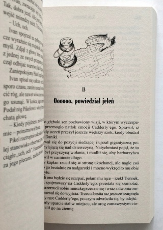 Mroki puszczy Robert Anthony Salvatore