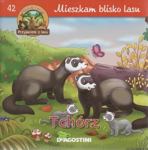 TCHÓRZ - mieszkam blisko lasu Praca zbiorowa