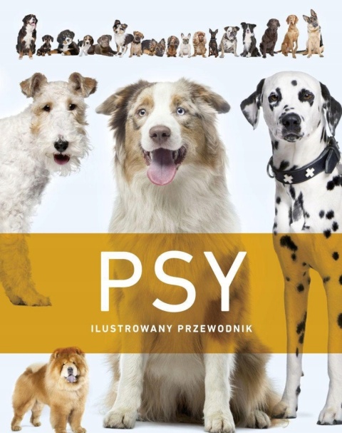 Psy Praca zbiorowa