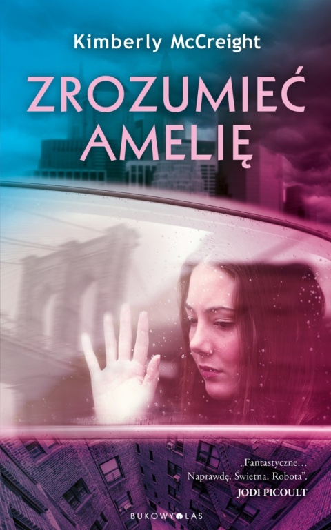 Zrozumieć Amelię Kimberly McCreight