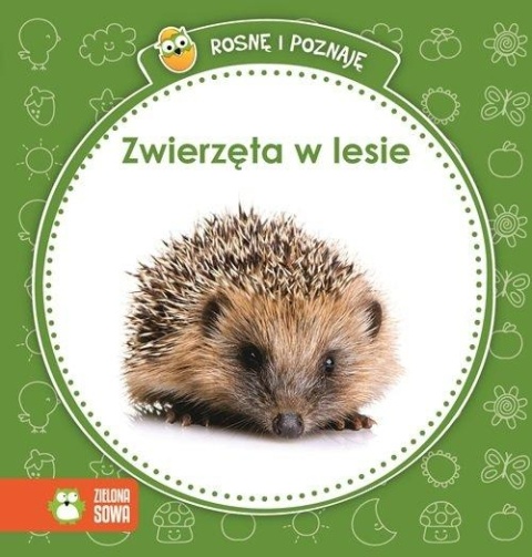 Rosnę i poznaję. Zwierzęta w lesie Praca zbiorowa