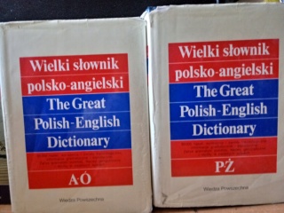 WIELKI SŁOWNIK ANGIELSKO POLSKI P-Ż