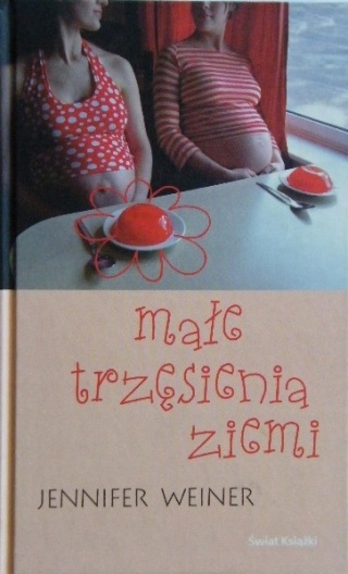 Małe trzęsienia ziemi Jennifer Weiner