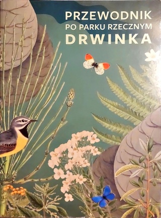 Przewodnik po parku rzecznym Drwinka