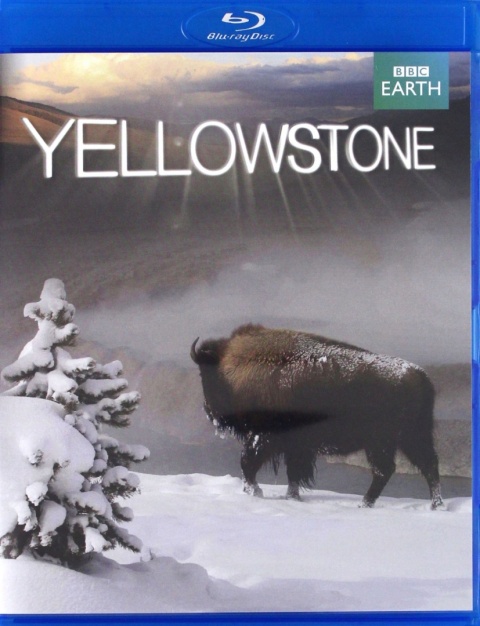 Yellowstone płyta Blu-ray
