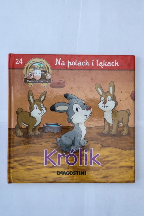 Na polach i łąkach Królik opracowanie Zbiorowe
