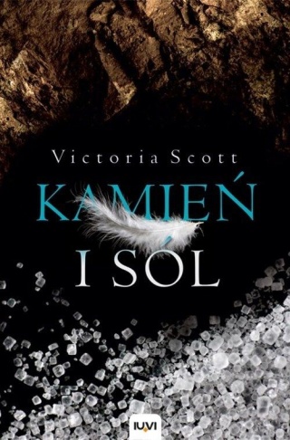 Kamień i sól Victoria Scott