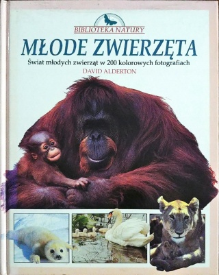 Młode zwierzęta David Alderton
