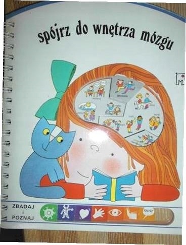 Spójrz do wnętrza mózgu Paola. Panizon