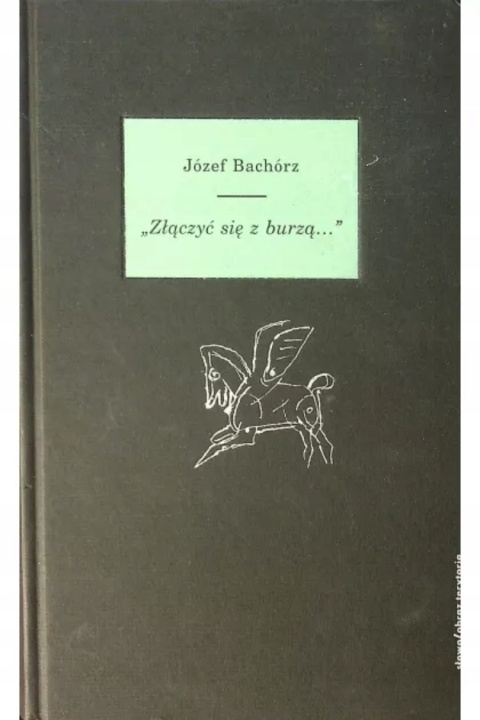 Złączyć się z burzą Józef Bachórz