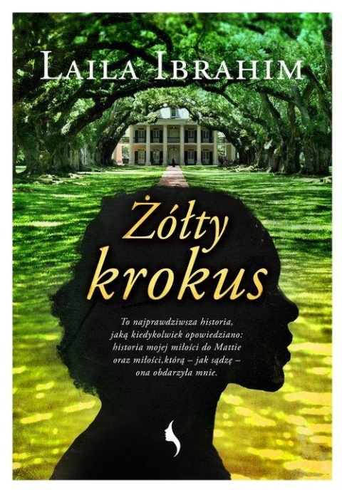 Żółty krokus Laila Ibrahim