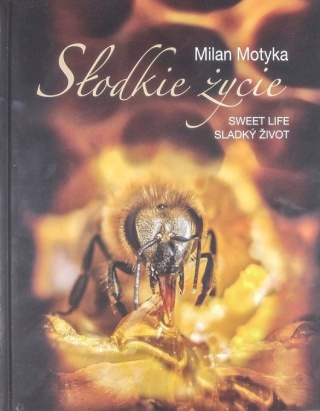 Słodkie życie Milan Motyka