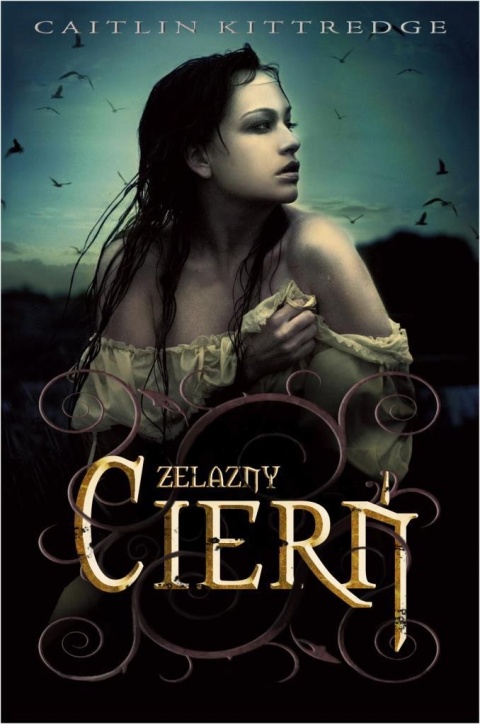 Żelazny kodeks 1 Żelazny cierń Kaitlin Kittredge