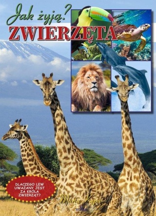 Zwierzęta Marta Kępa