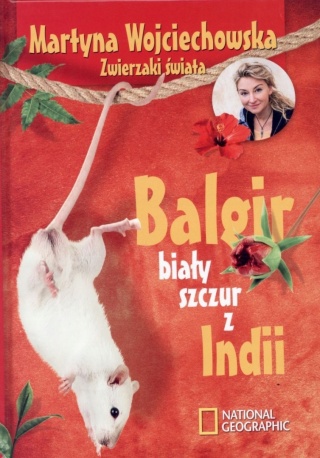 Balgir biały szczur z Indii Martyna Wojciechowska