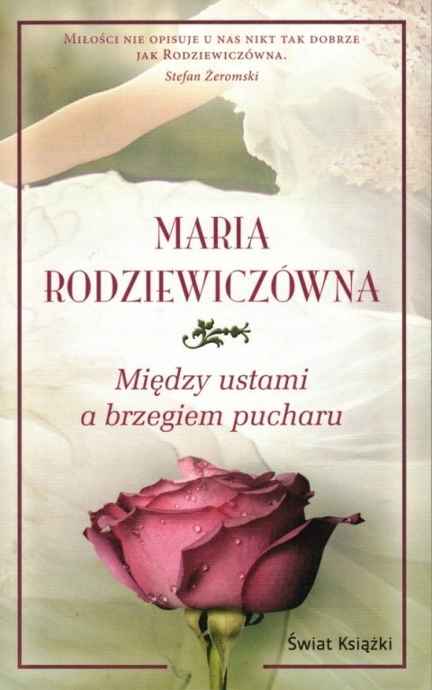 Między ustami a brzegiem pucharu Maria Rodziewiczówna
