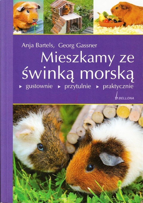 Mieszkamy ze świnką morskią