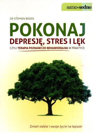 Pokonaj depresję stres i lęk Stephen Briers