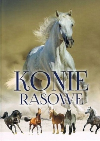 Konie rasowe Patrycja Zarawska