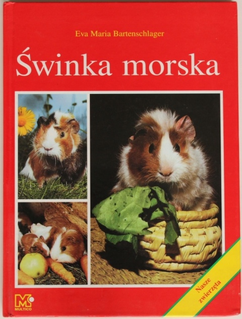 Świnka morska Eva Maria Bartenschlager