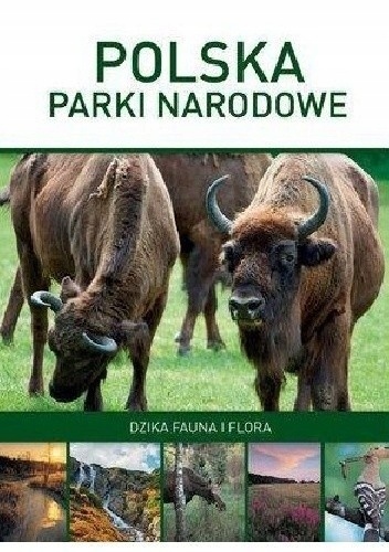 Polska: Parki narodowe. Dzika fauna i flora Marcin Panek